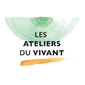 réseaux sociaux